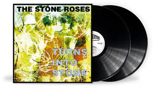 Turns Into Stone (Uk) Secure Checkout