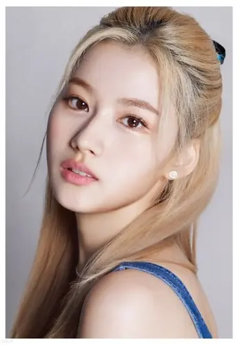 Dicon D'festa Twice (Sana) (Stic) (Phot) (Asia) Get Yours