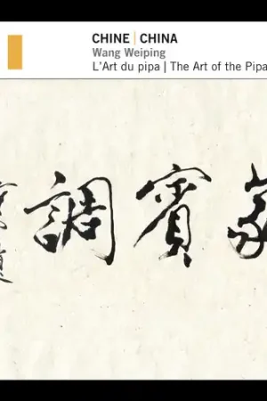 Direct From Factory China: Art Of The Pipa