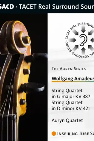 Direct From Manufacturer String Quartet