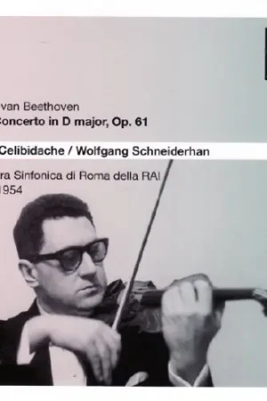 Violin Concerto in D Major Op 61 Bulk Order