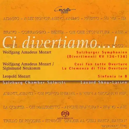 Shop Now Ci Divertiamo