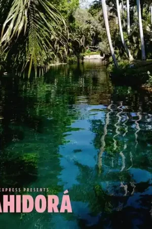 Markdown Africa Express Presents... Bahidora