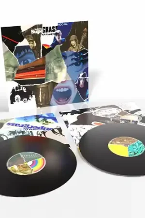Mega Sale Strange Ones [2 LP]