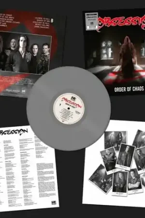 Order Of Chaos - Gray [Colored Vinyl] (Gry) Today Only