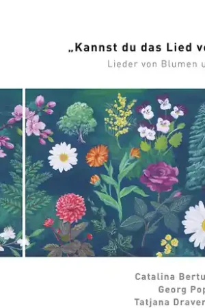 Same Day Shipping Kannst Du Das Lied Verstehn?