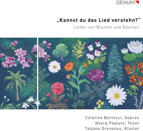 Same Day Shipping Kannst Du Das Lied Verstehn?
