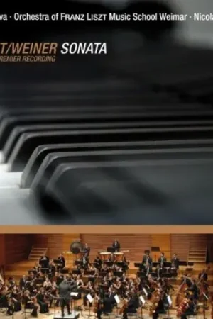 Seasonal Sale Sonata in B minor