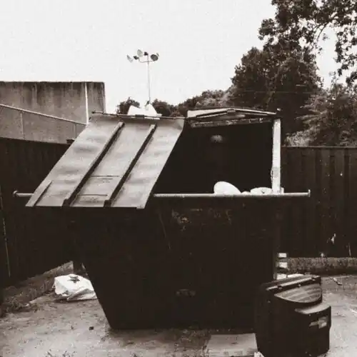 Top Pick Dumpster Dive