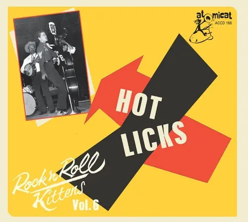 Secure Checkout Rock & Roll Kitten Vol 6: Hot Licks