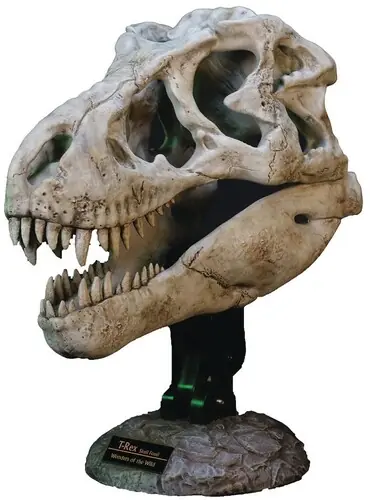 Mega Sale Wonders of the Wild - Tyrannosaurus Rex Skull Fossil Statue