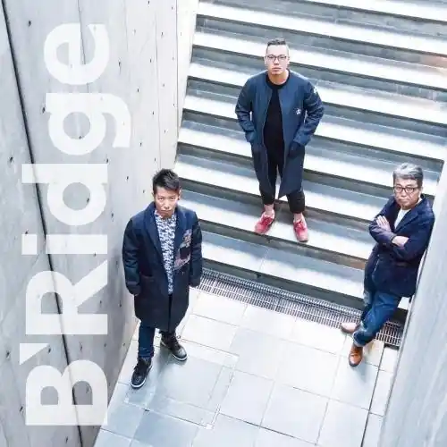 B'Ridge Free Shipping