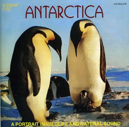 One Day Deal Antarctica: A Portrait In Wildlife and Natural Sound