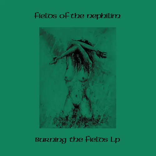 Instant Buy Burning The Fields