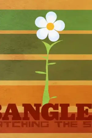 Watching The Sky: The Bangles Box Set (Uk) Affordable
