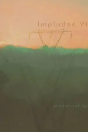Same Day Shipping Picnics With Pylons