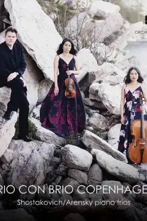 Piano Trios Direct From Manufacturer