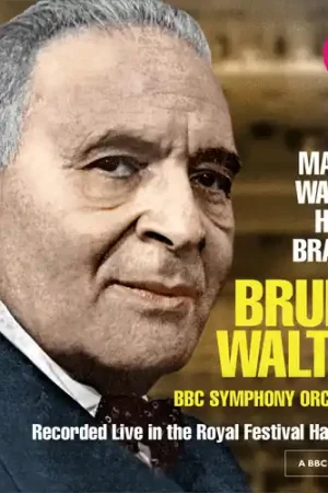 Mahler / Wagner / Haydn / Brahms Hot Deal