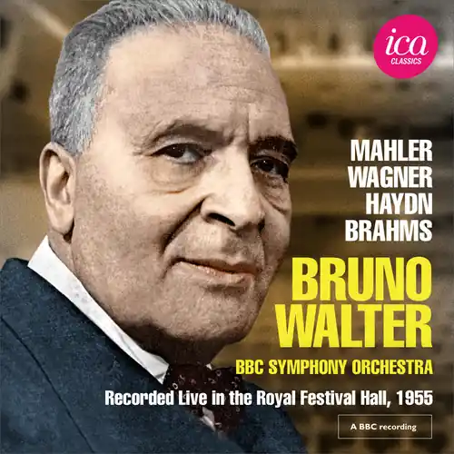 Mahler / Wagner / Haydn / Brahms Hot Deal