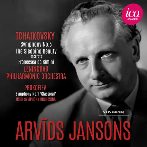 Hot Deal Symphony No. 5
