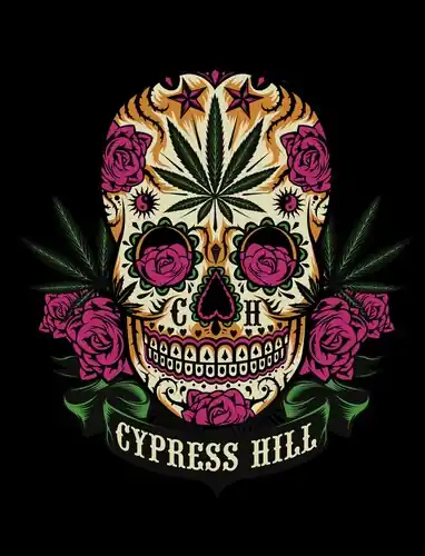 Rocksax Cypress Hill Blnk Tequilla Sunrise 50x80 High Quality