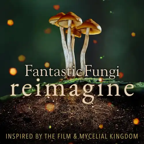 Fantastic Fungi: Reimagine (Various Artists) One Day Deal