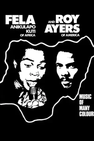 Music Of Many Colours Certified