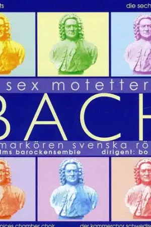 De Sex Motetterna Wholesale