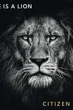 Love Is A Lion In Demand
