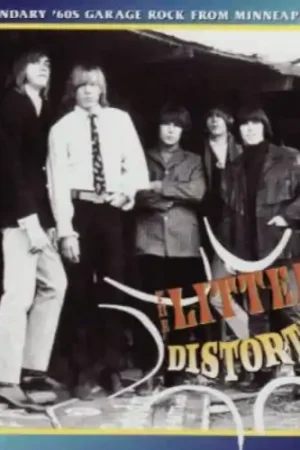 Flash Sale Distortions