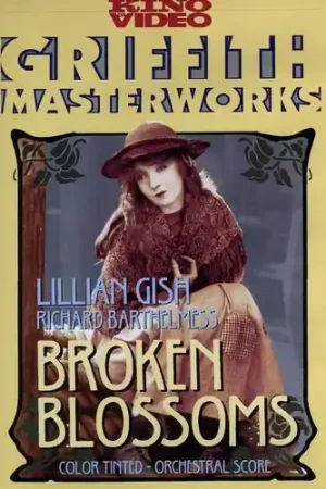 Editor’s Pick Broken Blossoms