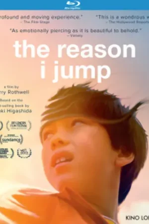 The Reason I Jump Brand New