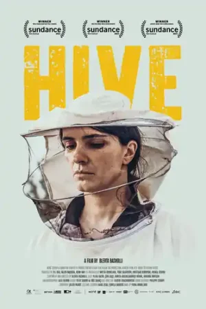Hive (2020) Flash Sale