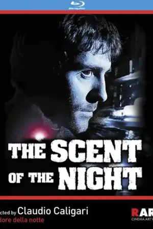 The Scent Of The Night Luxury