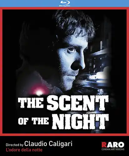 The Scent Of The Night Luxury