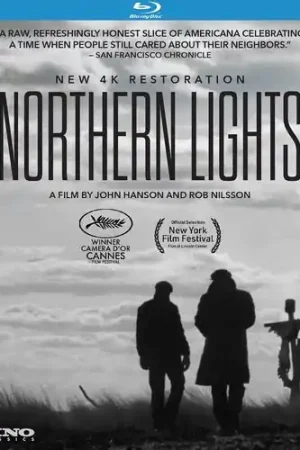 Modern Northern Lights / (Anam Sub)