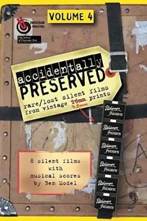 Accidentally Preserved: Volume 4 Cheap