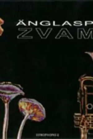 Zvamp No Minimum Order