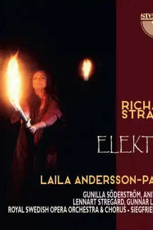 Money Back Guarantee Elektra