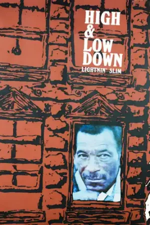 Warranty Included High & Low Down - Blue & Grey Smoke Colored Vinyl