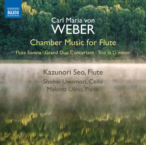 Exclusive Offer Chamber Music for Flute