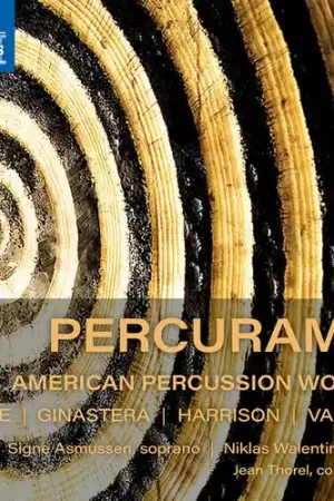American Percussion Works High Quality