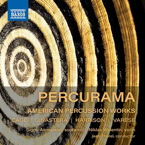 American Percussion Works High Quality