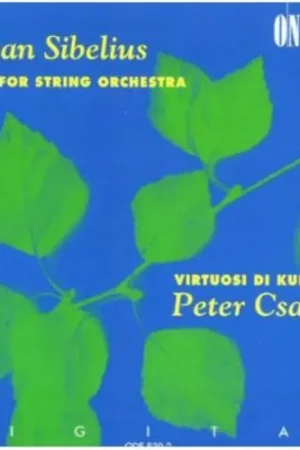 Handmade Works For String Orchestra
