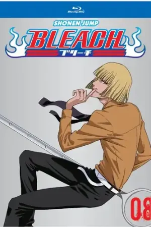 Bleach (TV) Set 8 Bargain