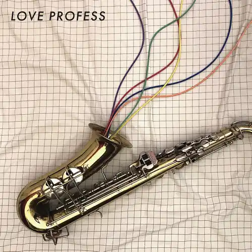 Fast Shipping Love Profess