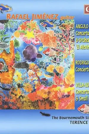 Concerto for Guitar & Orchestra 2: Alevin Time-Limited