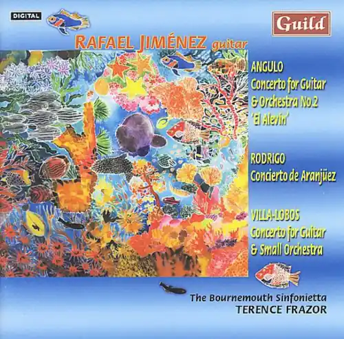 Concerto for Guitar & Orchestra 2: Alevin Time-Limited