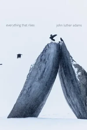 Everything That Rises Time-Limited