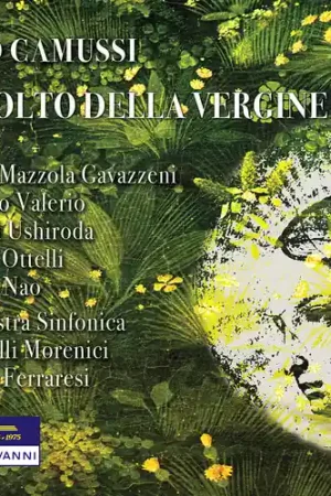 Shop Now Il Volto Della Vergine